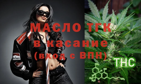 индика Абаза