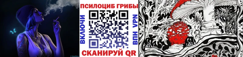 как найти закладки Приморско-Ахтарск Галлюциногенные грибы прущие грибы